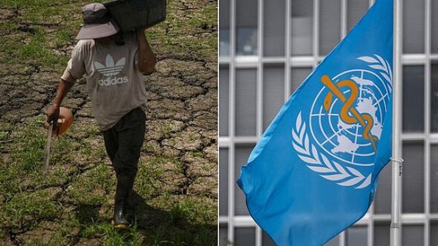 UN Warns of Severe El Niño Impact: What It Means for the Future