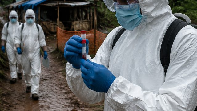 New Surge in Ebola Cases in Congo Raises Global Health Concerns | timnas4d toto, online gambling fre