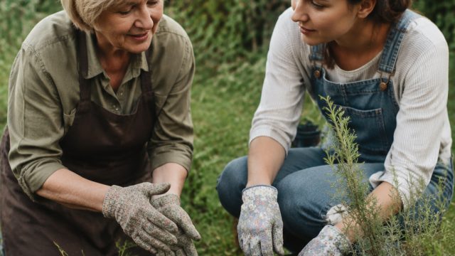 Your Gardening Queries Answered by Experts This Summer | classic slot machine, togelputih, georgia l