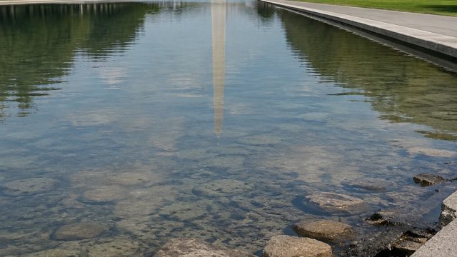 New Insights on Reflecting Pool Damage Prompt Controversy | dewa89 slot, coin qq slot