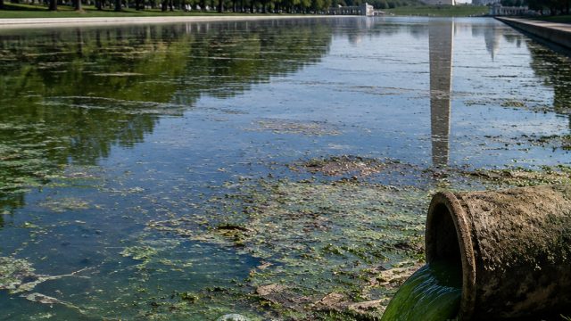 The Hidden Environmental Crisis Behind Trump's Reflecting Pool Controversy | slot deposit via gopay 